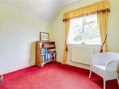 Picture 20